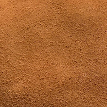 Load image into Gallery viewer, SUNNY IN LEATHER