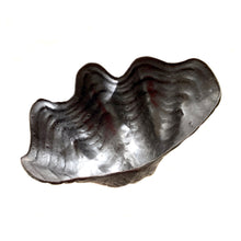 Load image into Gallery viewer, BRASS SHELLS