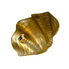 Load image into Gallery viewer, BRASS SHELLS
