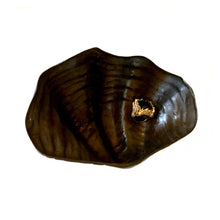 Load image into Gallery viewer, BRASS SHELLS
